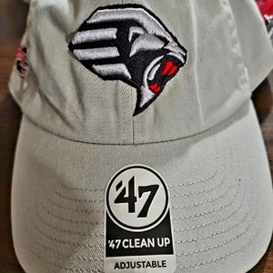 47 GUARDIANS NEW CAP